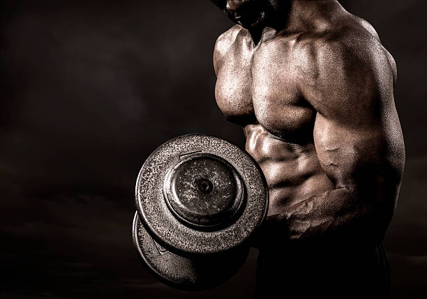 Modern Warrior — weight loss and fitness